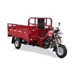 MOTO-FURGON-ZS250-CM